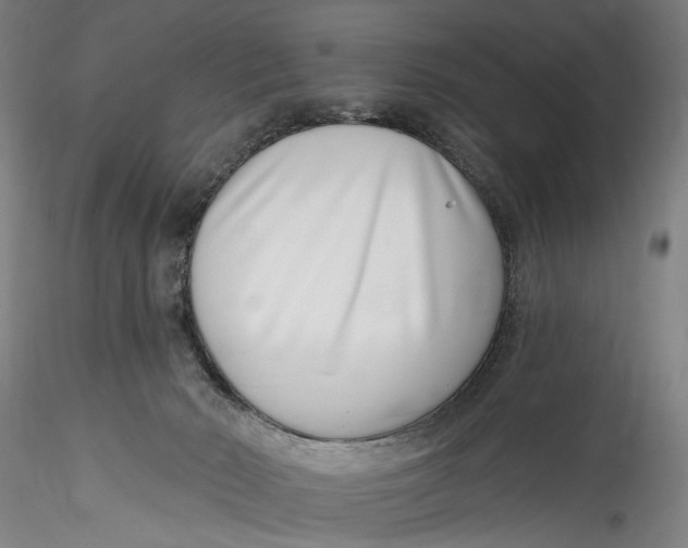 X0000115520030200911271333