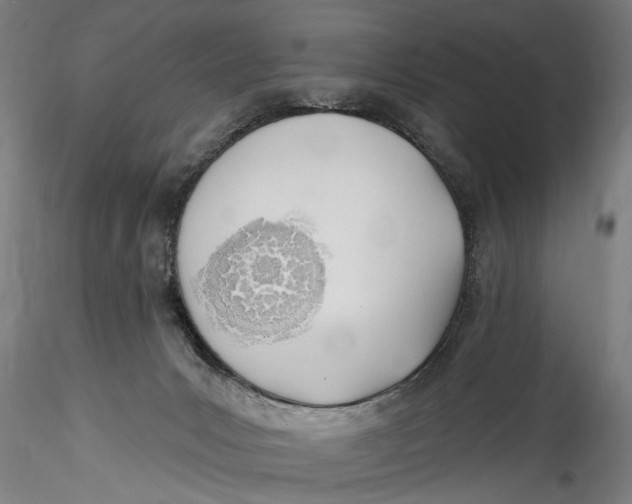 X0000115520031200911271333