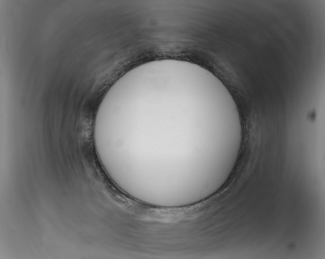 X0000115520033200911271333