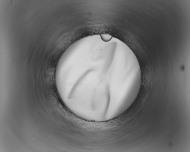 X0000115520034200911271333