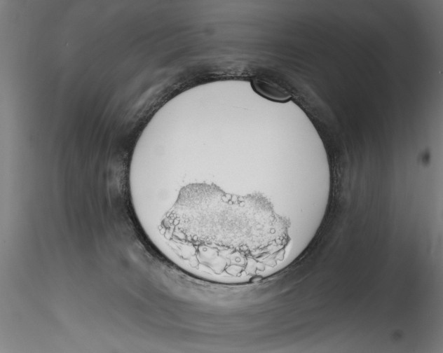 X0000115520035200911271333