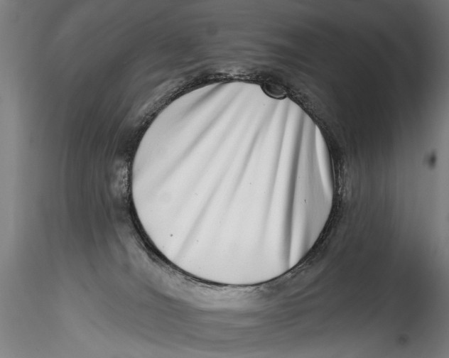 X0000115520036200911271333