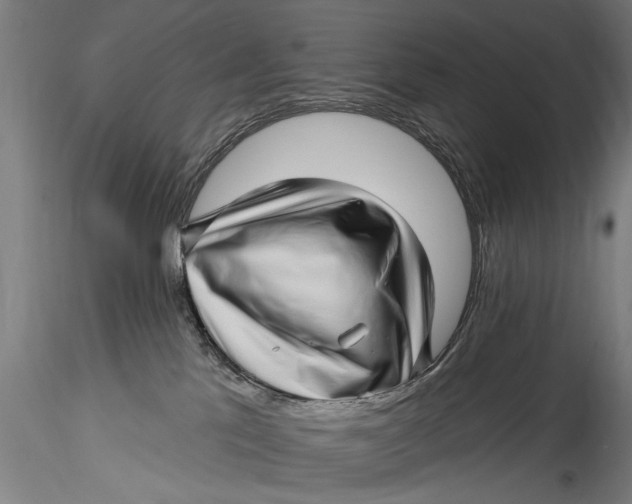 X0000115520041200911271333