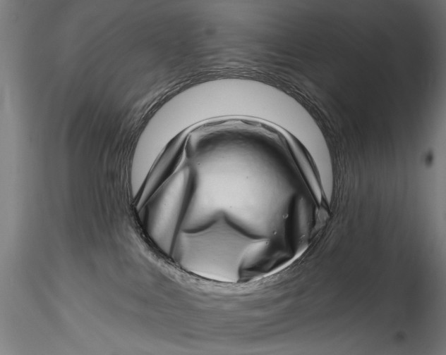 X0000115520043200911271333