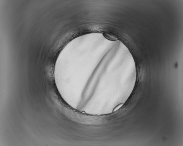 X0000115520044200911271333