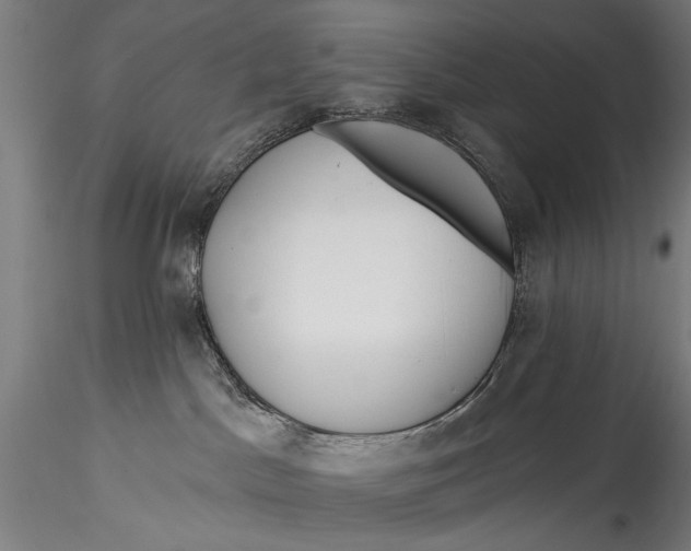 X0000115520045200911271333