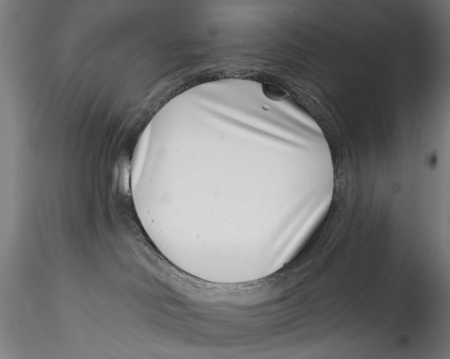 X0000115520046200911271333