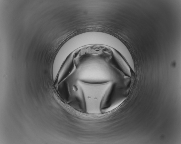 X0000115520047200911271333