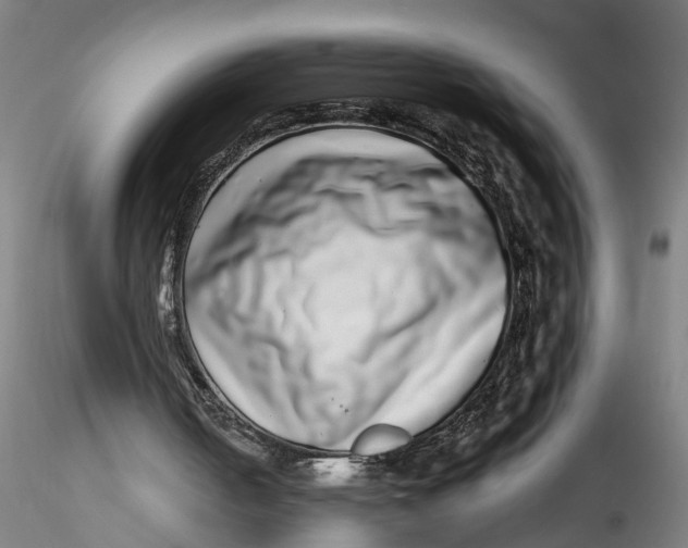 X0000115520050200911271332