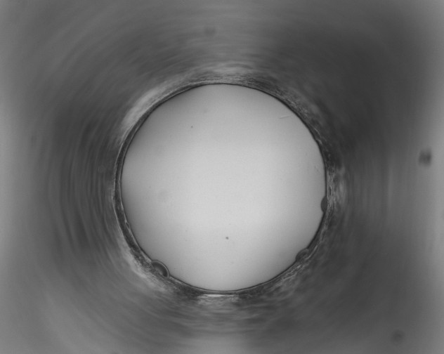 X0000115520051200911271332