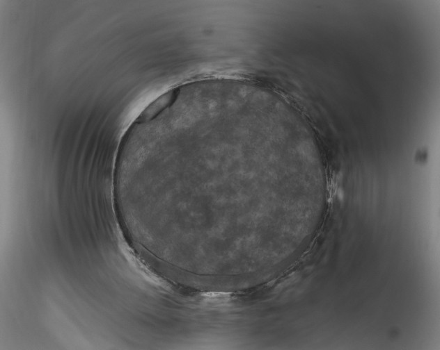 X0000115520052200911271332