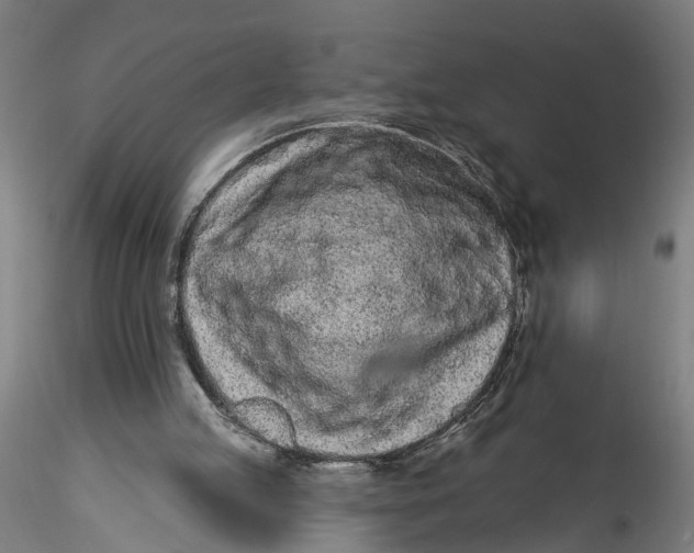 X0000115520053200911271332