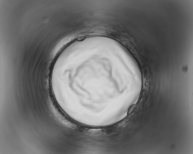 X0000115520054200911271332