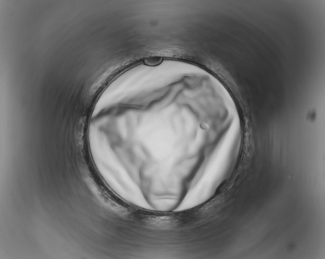 X0000115520058200911271332