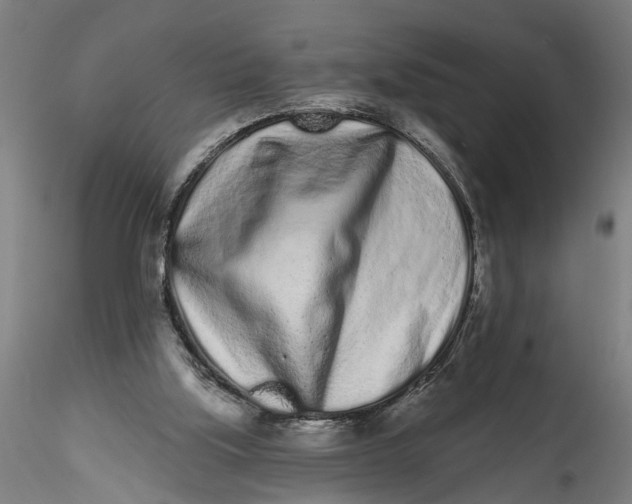 X0000115520059200911271332