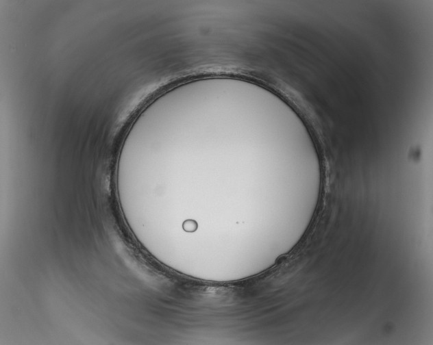 X0000115520060200911271332