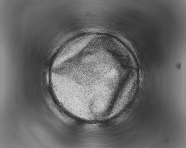 X0000115520061200911271332