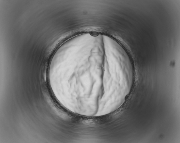 X0000115520062200911271332