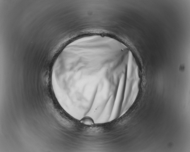 X0000115520063200911271332