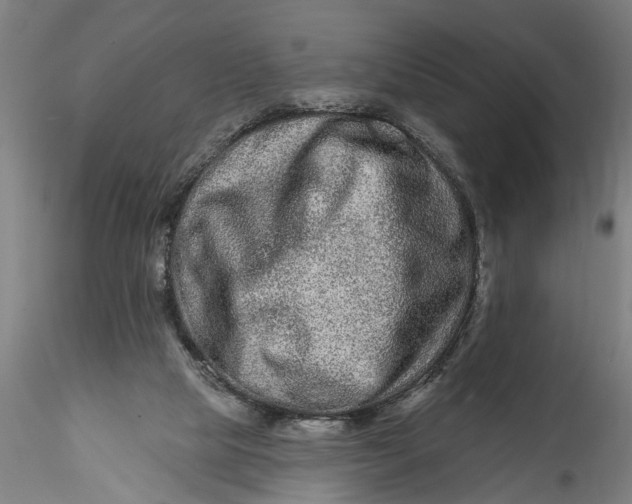 X0000115520065200911271332