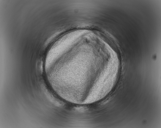 X0000115520067200911271332