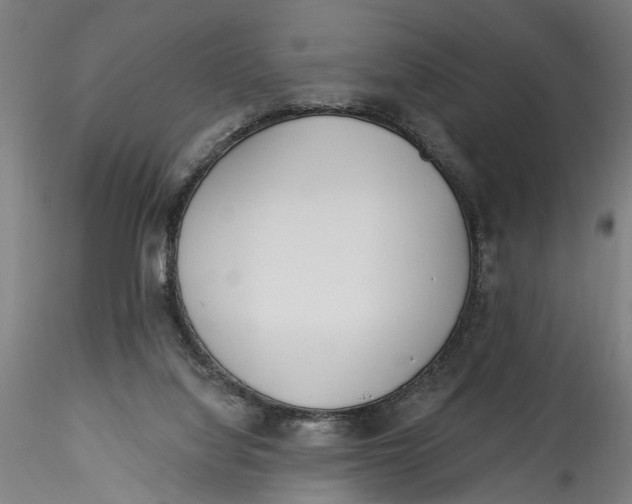 X0000115520068200911271332