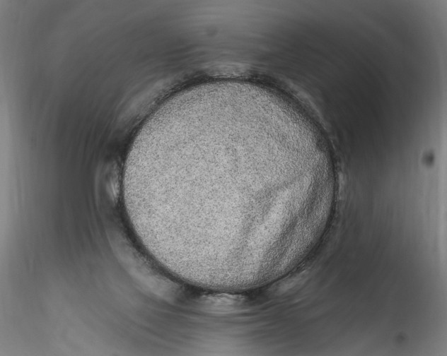 X0000115520069200911271332