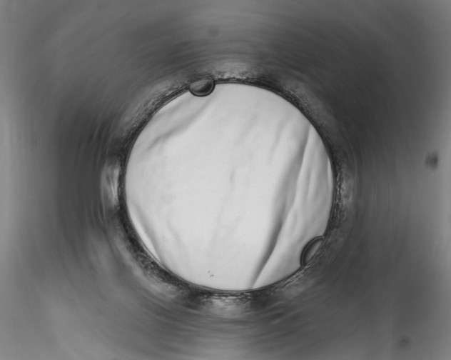 X0000115520070200911271332