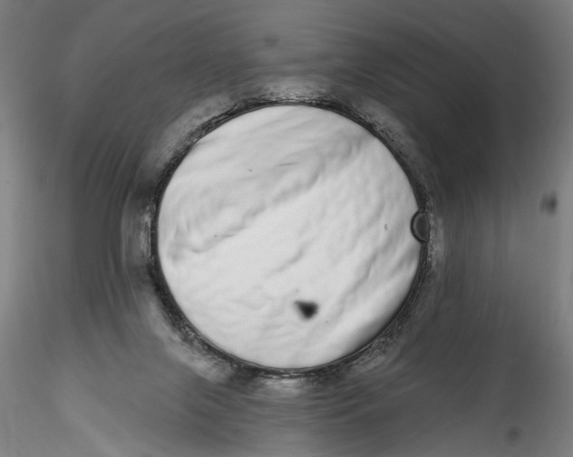 X0000115520071200911271332