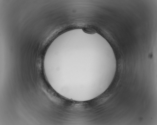 X0000115520072200911271332