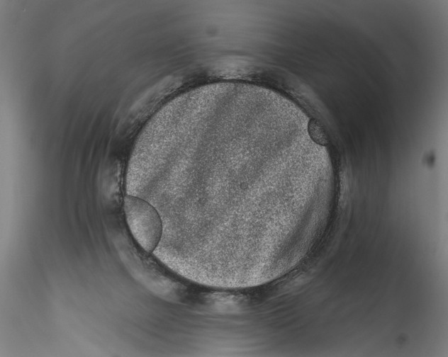 X0000115520073200911271332