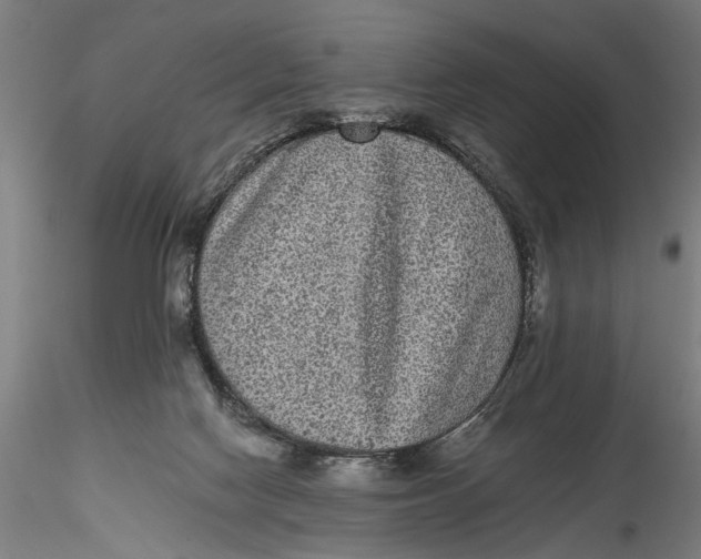 X0000115520074200911271332