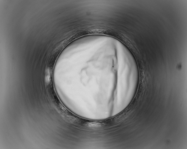 X0000115520075200911271332