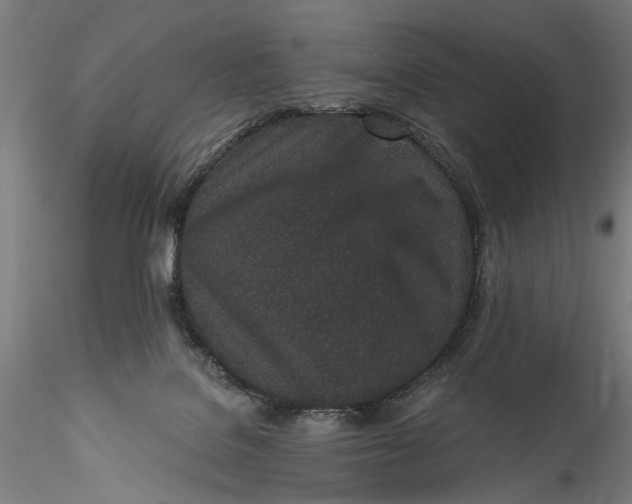 X0000115520076200911271332