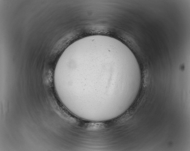 X0000115520077200911271332