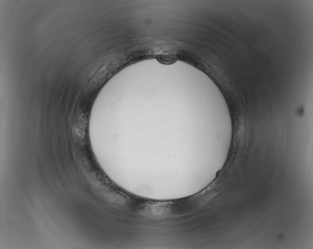 X0000115520078200911271332