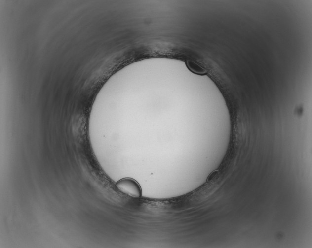 X0000115520079200911271332