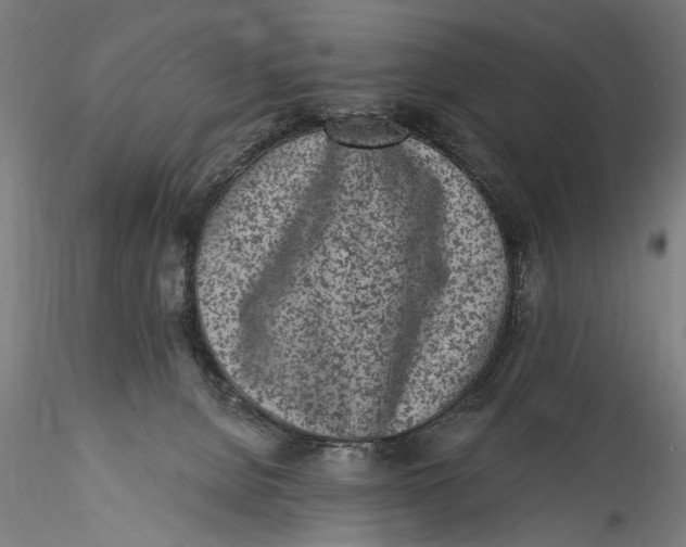 X0000115520080200911271332