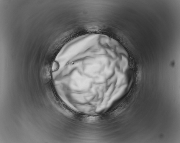 X0000115520081200911271332