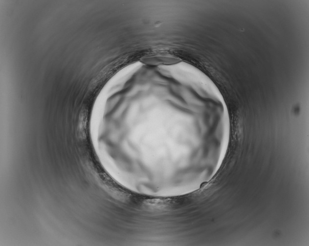 X0000115520082200911271332