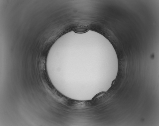 X0000115520083200911271332