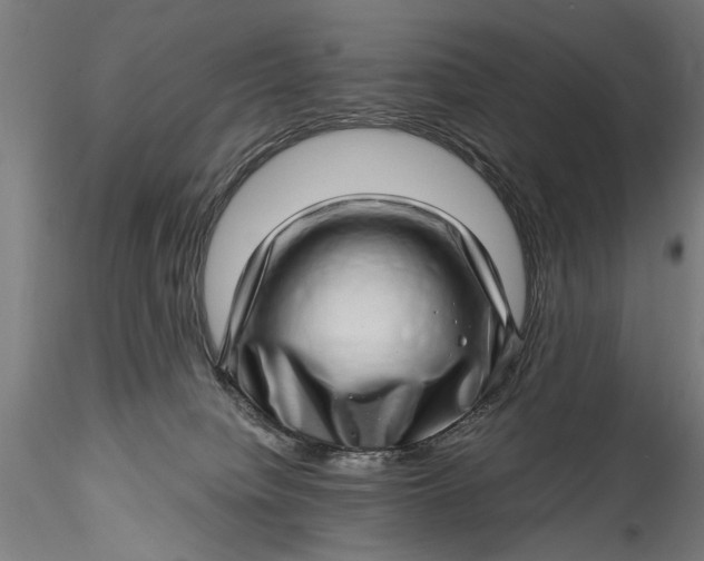 X0000115520084200911271332