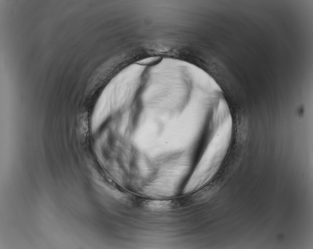 X0000115520085200911271332