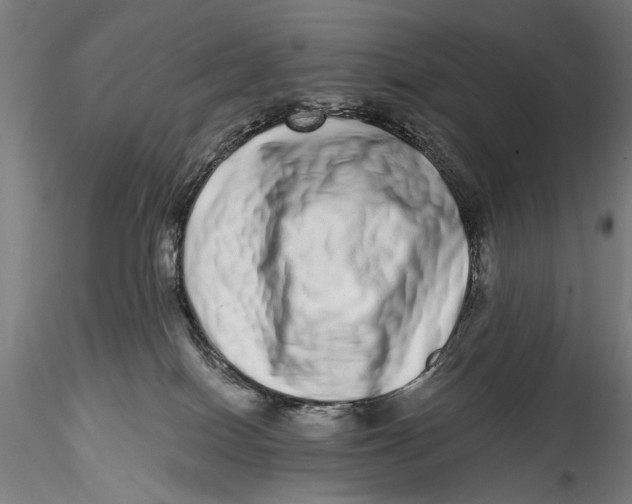 X0000115520086200911271332