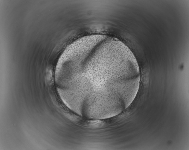 X0000115520087200911271332