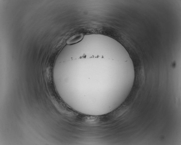 X0000115520088200911271332