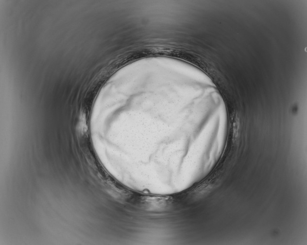 X0000115520089200911271332