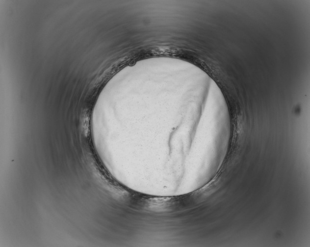 X0000115520090200911271332