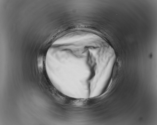 X0000115520094200911271332