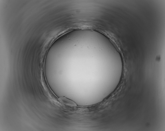 X0000115520097200911271332